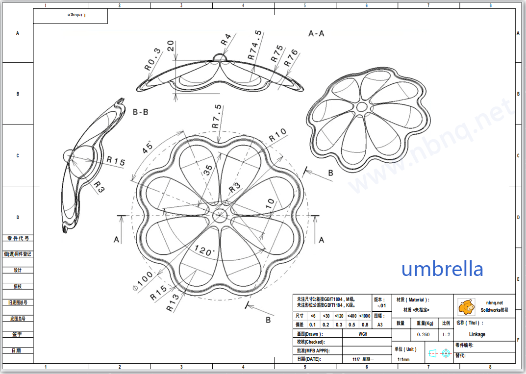 Solidwork曲面练习个伞状花瓣